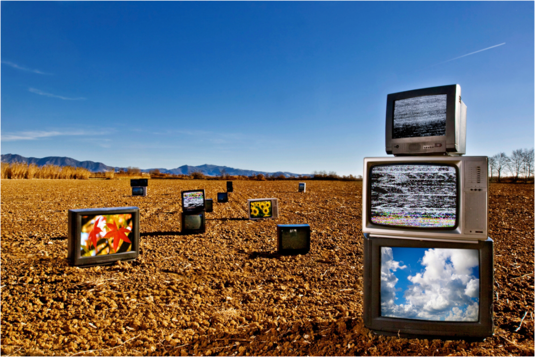 Main image No. 04 — Harvest of Images