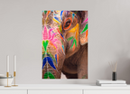 40 x 60 cm, Photo Print On Fuji Crystal DP II India No. 01 — Lotus Skin