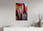 60 x 90 cm, Photo Print On Fuji Crystal DP II India No. 12 — Festival Dress