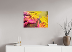 75 x 50 cm, Photo Print On Fuji Crystal DP II India No. 11 — Pink and Gold