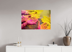 90 x 60 cm, Photo Print On Fuji Crystal DP II India No. 11 — Pink and Gold