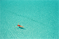 Main image Overhead — Turquoise Swimming Pool Wall Art | High Noon No. 06