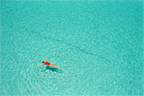 Main image Overhead — Turquoise Swimming Pool Wall Art | High Noon No. 06