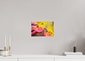 30 x 20 cm, Photo Print On Fuji Crystal DP II India No. 11 — Pink and Gold