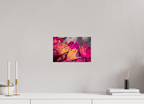 30 x 20 cm, Photo Print On Fuji Crystal DP II India No. 10 — Magenta