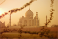 Main image India No. 14 — Beyond the branches