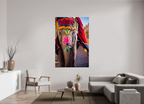 120 x 180 cm, Photo Print On Fuji Crystal DP II India No. 12 — Festival Dress