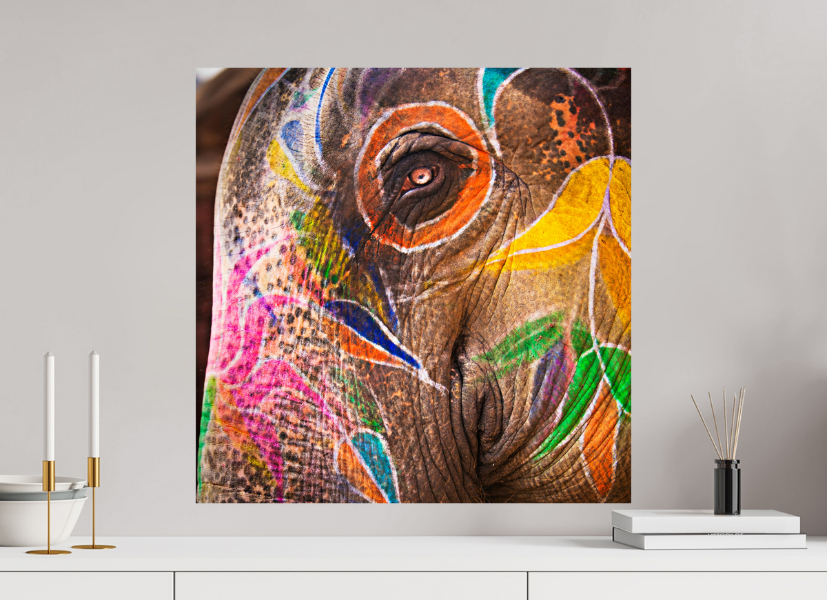 60 x 60 cm, Photo Print On Fuji Crystal DP II India No. 04 — Elephant's Eye