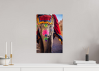 30 x 45 cm, Photo Print On Fuji Crystal DP II India No. 12 — Festival Dress