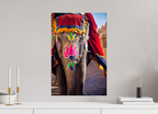 40 x 60 cm, Photo Print On Fuji Crystal DP II India No. 12 — Festival Dress