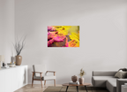 105 x 70 cm, Photo Print On Fuji Crystal DP II India No. 11 — Pink and Gold