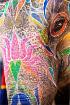 Main image India No. 03 — Lotus and Eye
