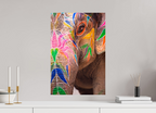 40 x 60 cm, Photo Print On Fuji Crystal DP II India No. 02 — Lotus Skin