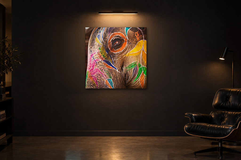 India No. 03 — Elephant's Eye — photo print shown in a dark gallery room under a picture light