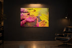 India No. 11 — Pink and Gold — photo print shown in a dark gallery room under a picture light