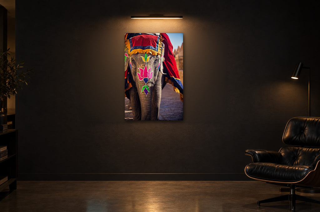 India No. 12 — Festival Dress — photo print shown in a dark gallery room under a picture light